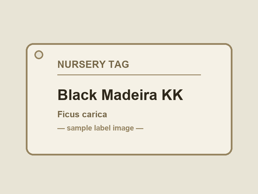Original seller label ｜サンプル画像